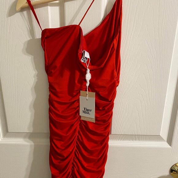 Tiger Mist Bodycon Mini Dress - Picture 5 of 11